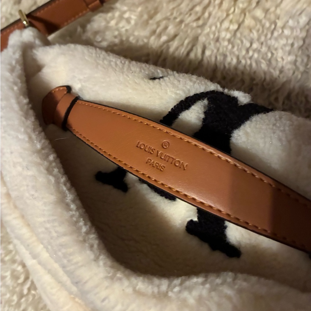 Louis Vuitton Monogram Teddy Bumbag - Picture 7 of 10